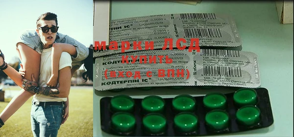 шишки Шарыпово