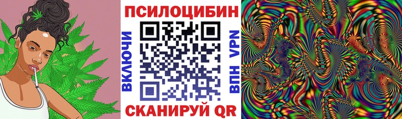 цена наркотик KRAKEN Псилоцибиновые грибы ЛСД Ардатов